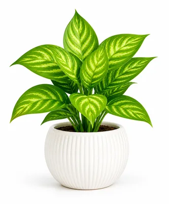 Artificial plant with green and white leaves in a white pot